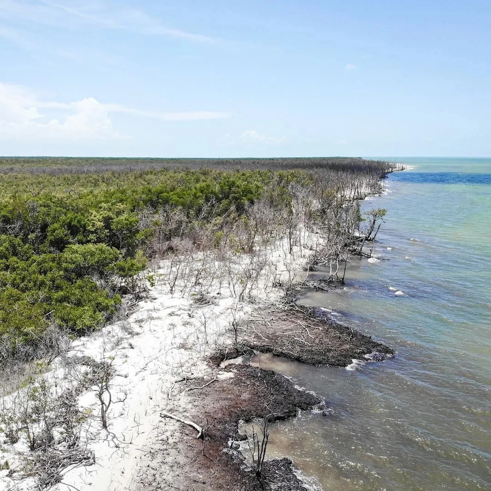 Kice Island Florida