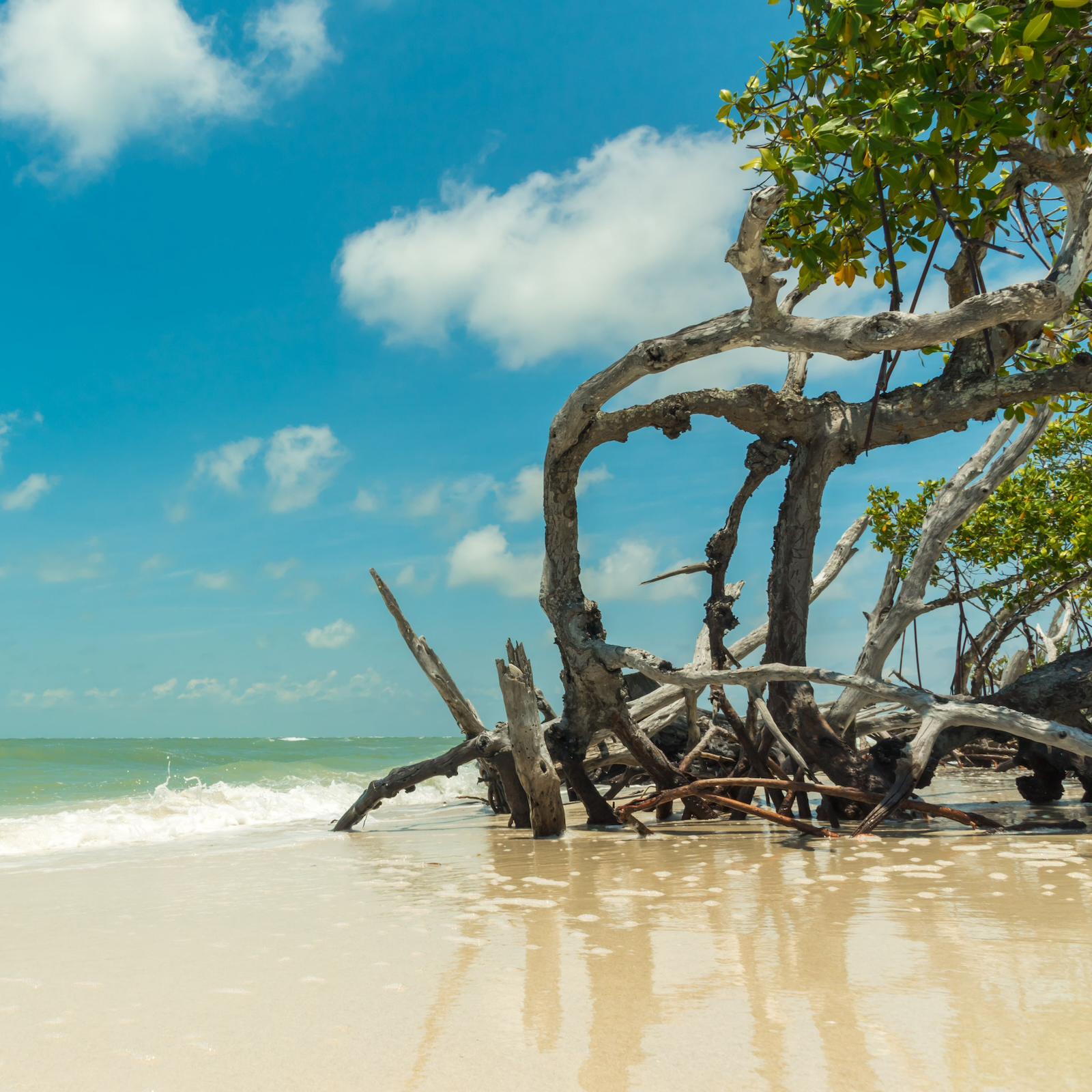Little Hickory Island Beach Park