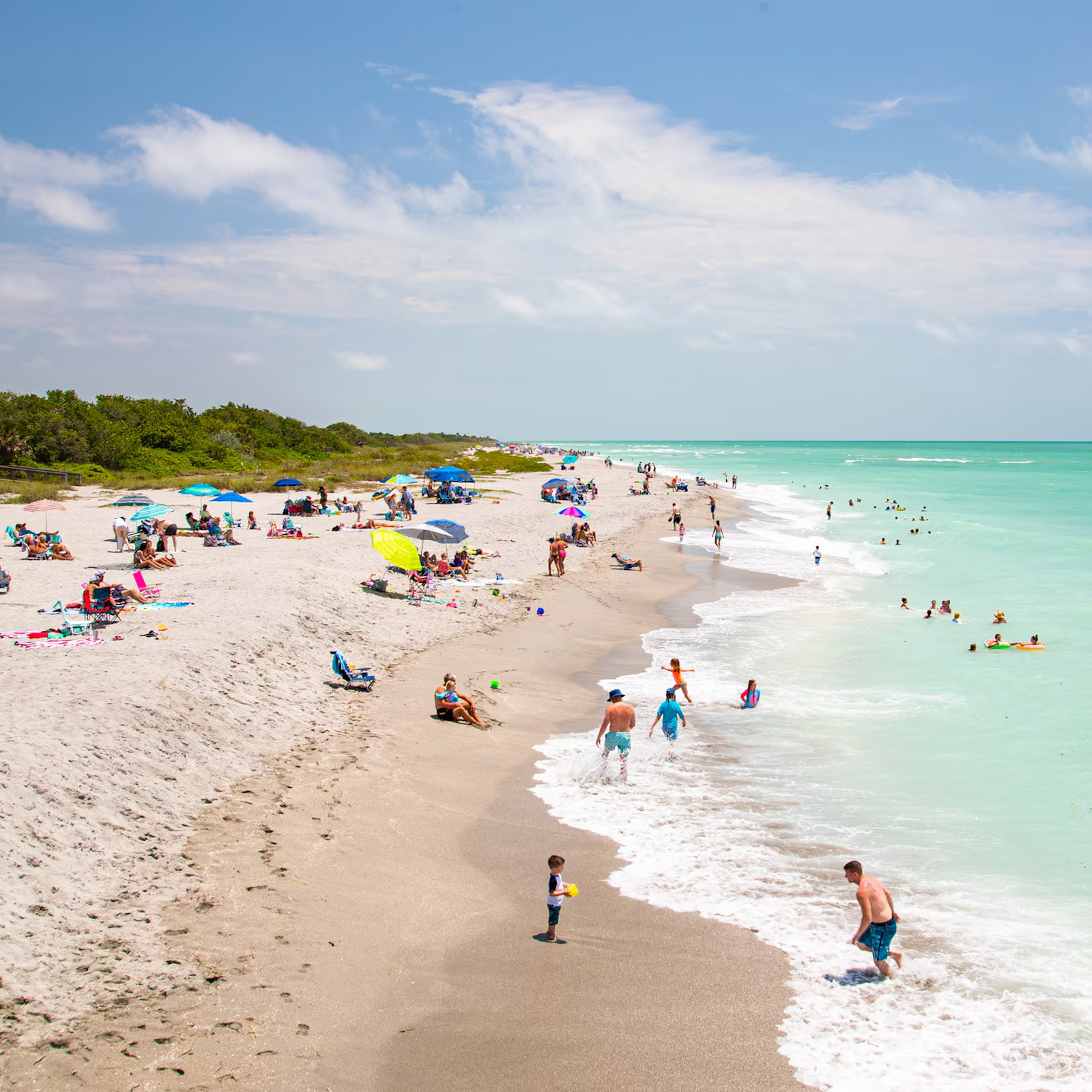 Venice Beach Florida